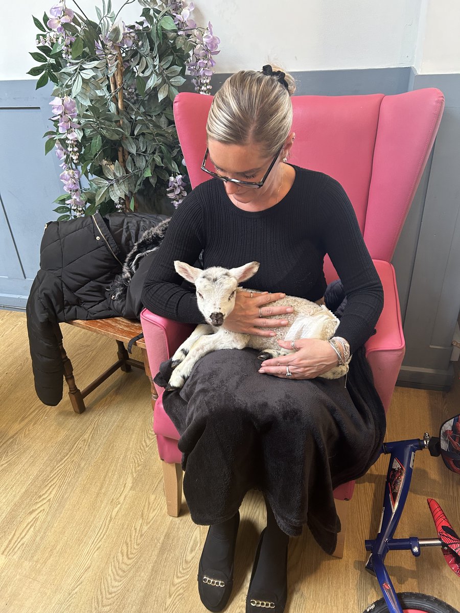 NCCTUK's tweet image. The "party of lambs" at Northampton House also welcomed our new Activities Co-ordinator Hayley to our care home! (3/3) #lambseason #springtime #petfarm #ncctuk