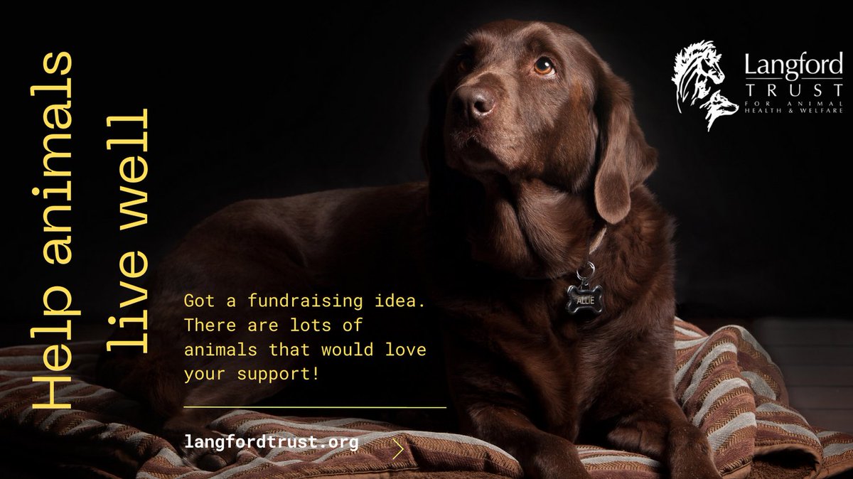 Thank you Hattie Lawrence, CEO @langfordvets, who is bravely running the Forest of Dean Spring Trail half marathon this month to fundraise for vital animal health and welfare projects @Bristol_Vets. Show your support tinyurl.com/44vs3bbu #animalwelfare #teamvet #justgiving