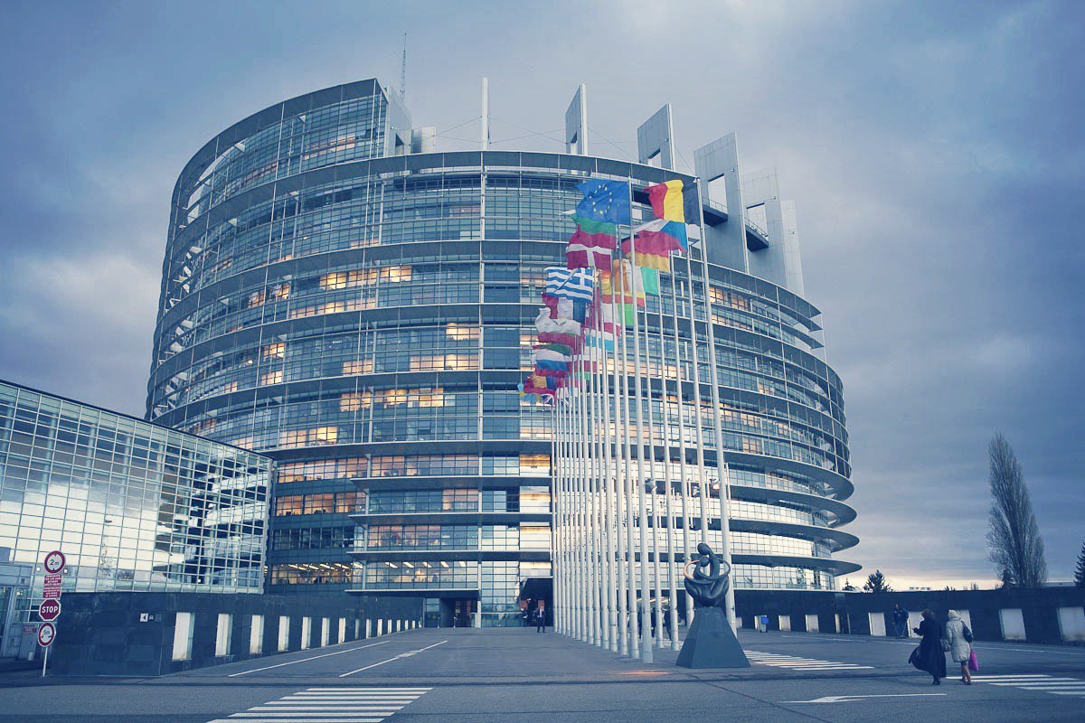 New World Timeless tweet media