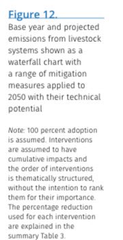 Landmark FAO report on reducing livestock’s footprint.