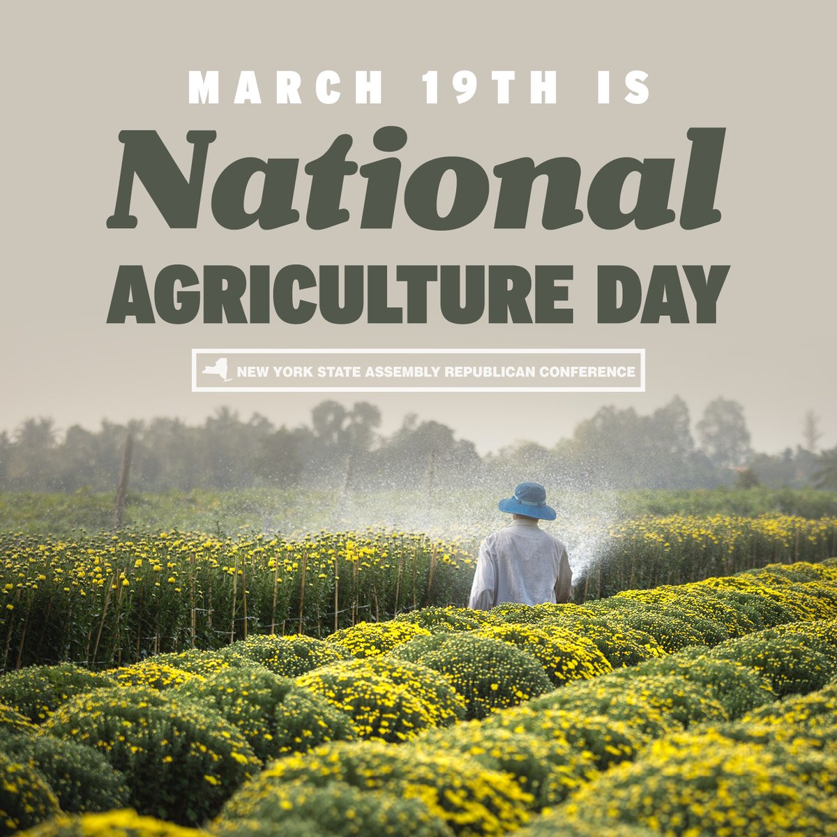 Happy National Agriculture Day! Today we recognize the hard work, innovation and dedication of farmers worldwide who feed our communities and sustain our planet. 🌾🚜 #NationalAgricultureDay #FeedingTheWorld