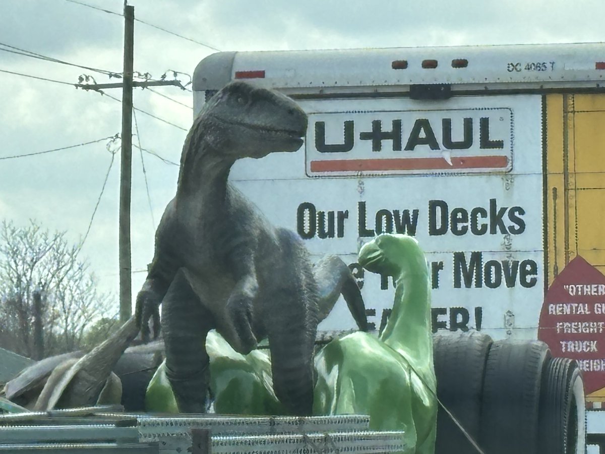 #Dinosaur relocation? So, who do we think these guys belong to? Where are they moving them ? #Ilovedinosaurs