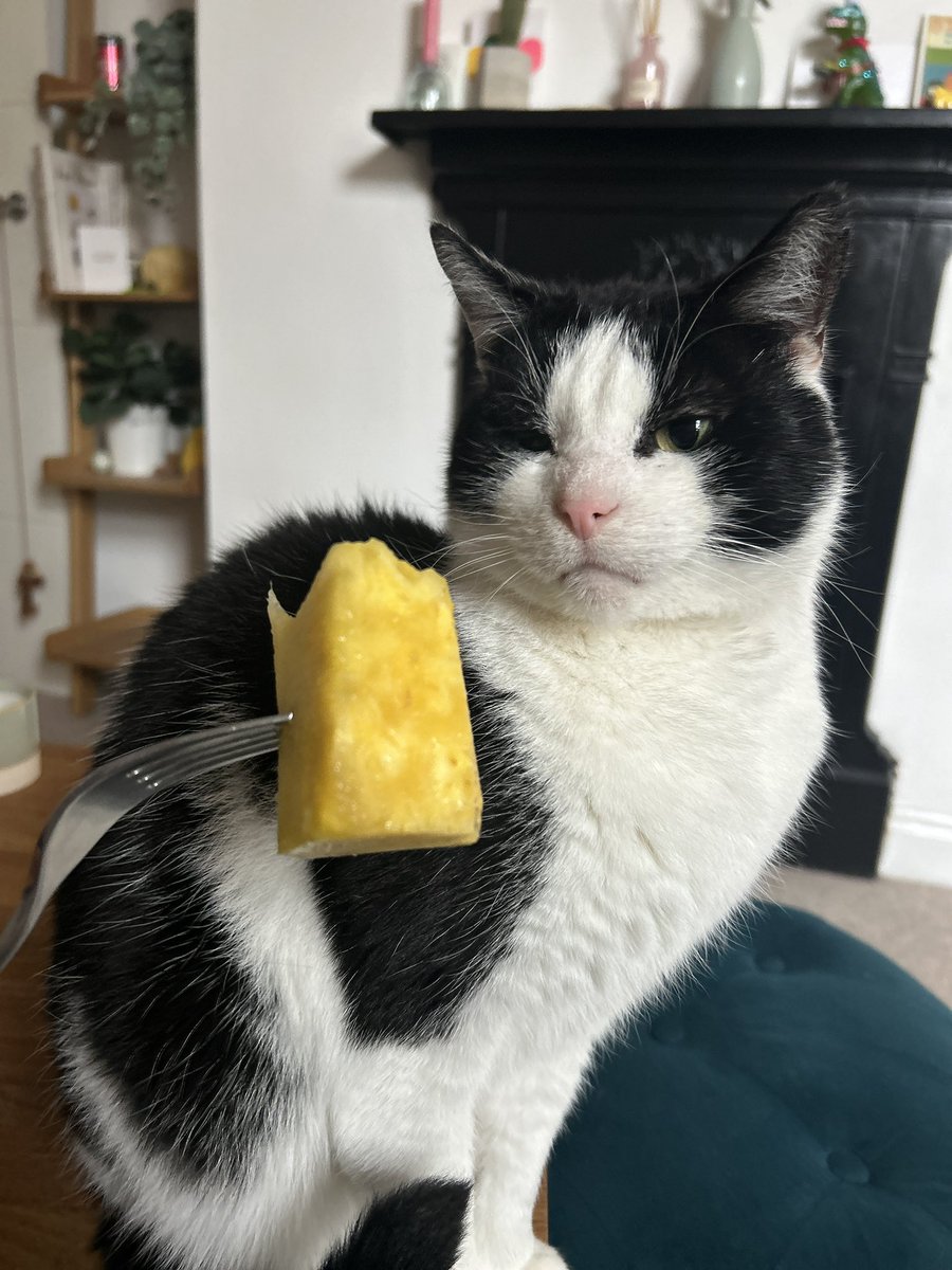 known pineapple hater