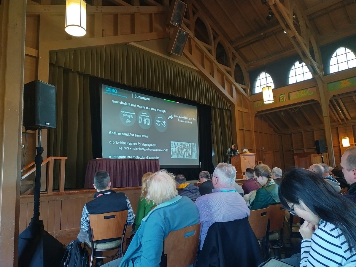 Jana Sperschneider (@jsperschneider) on Twitter photo And now we are talking about one of my favourite subjects: dikaryon genomics! <a href="/Figueroa_MM/">Melania Figueroa</a> covering it all from Robigus to high-throughput effector screening in plant protoplasts #Fungal24 And now we are talking about one of my favourite subjects: dikaryon genomics! <a href="/Figueroa_MM/">Melania Figueroa</a> covering it all from Robigus to high-throughput effector screening in plant protoplasts #Fungal24