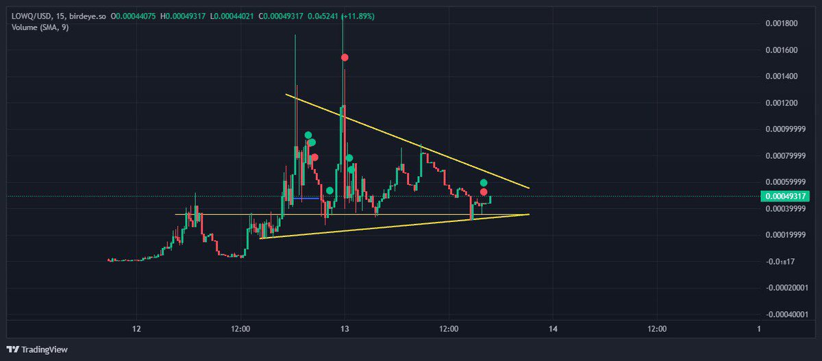 Tylerman1900's tweet image. can’t wait to see $LOWQ take off