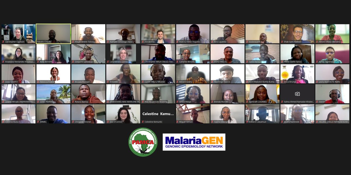 Today we launched the third installment of the @pamcafrica-MalariaGEN training course in data analysis for genomic surveillance of African malaria vectors! 💻🧬🦟 Congratulations and welcome to all participants who will be with us for the next 11 weeks! malariagen.net/article/over-1…
