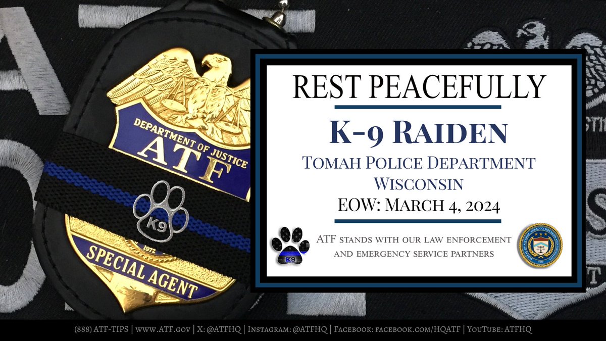 Our sympathies are with @TomahPD and the handler and friends of K-9 Raiden, who was struck and killed by a car. K-9 Raiden served with the department for one month and was also a member of the Monroe County Combined Tactical Unit. #LODD #EOW #K9 @ATFStPaul