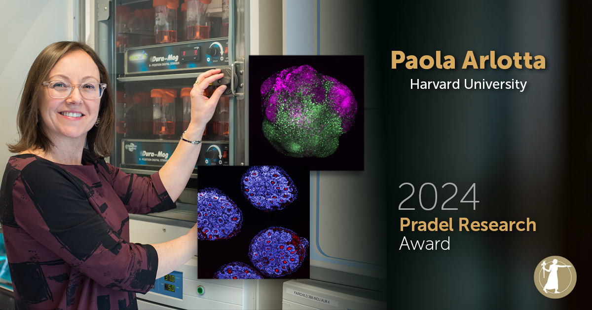 This year's Pradel Research Award winner Paola Arlotta of @HSCRB & @broadinstitute has provided key insights into the fundamental principles that guide development of the cerebral cortex. Read about her innovative work this #BrainAwarenessWeek: ow.ly/YjO350QRsXQ #NASaward