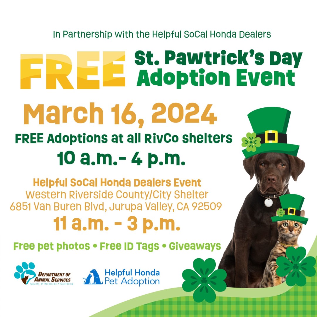 Get ready for St. PAWtrick's Day in Jurupa Valley! 🐾 All pet adoptions are FREE for St. Pawtrick’s Day from 10 a.m. to 4 p.m. on Saturday, Mar. 16 at the 🐱Western Riverside County Shelter, 6851 Van Buren Blvd.,🍀 with Helpful SoCal Honda giveaways, 11 a.m. to 3 p.m.