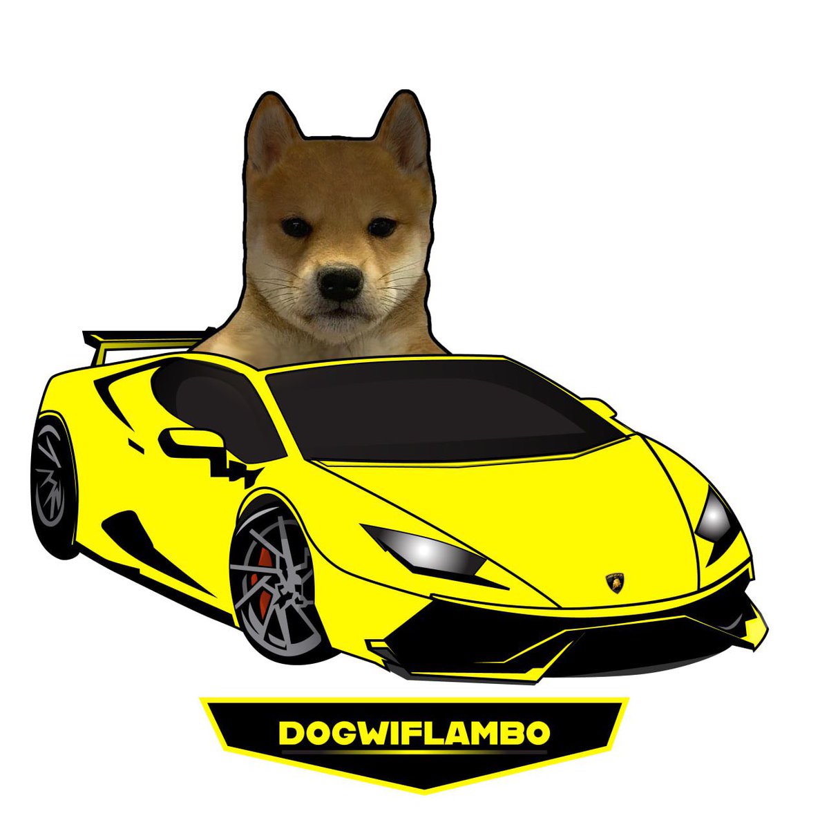 dogwiflambocoin's tweet photo. @blknoiz06 Lambo = on 🚀 $WIL #dogwiflambo https://t.co/YOgROAOjs9