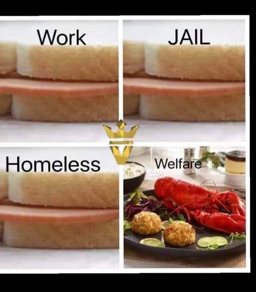 TeslaCowboy1's tweet photo. #TruthMeme 🤠 https://t.co/Ki1mSkUpvD