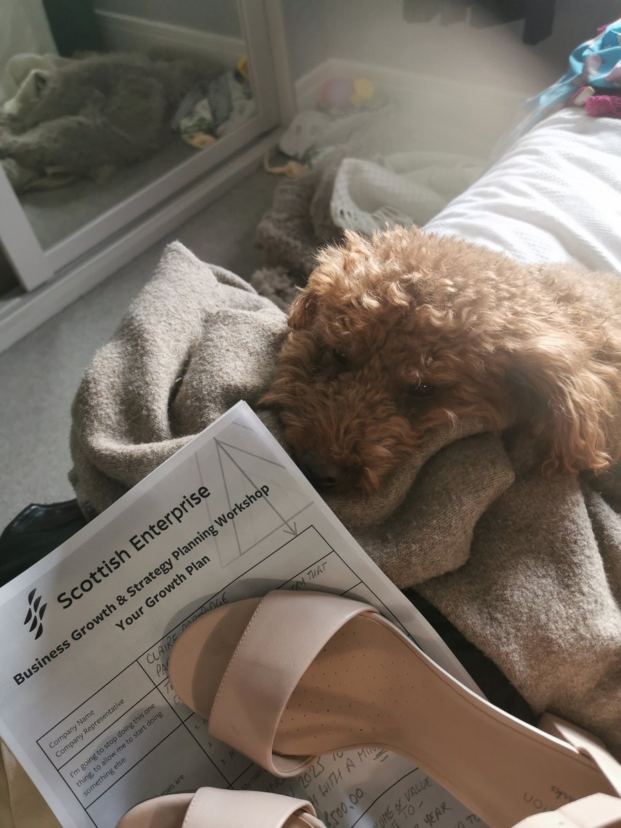 Claire - High Growth Companies @ SE tweet media