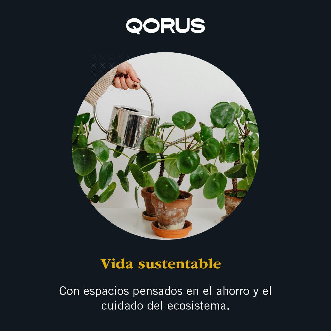 DosaxOficial's tweet photo. @qorus.mx Ideal para tu ritmo de vida:

📈 Centro con rendimiento
🧑🏻‍💻 Amenidades vanguardistas
♻️ Vida Sustentable
.
#Qorus #Dosax #CityDoers #ProyectosUnicos #InversiónSegura #DesarolloInmobiliario #ConstruyendoSueños #Monterrey #BienesRaíces #RealEstate #InversiónInmobiliaria https://t.co/YedE3WdAzI