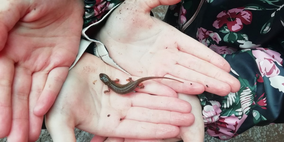 WrockwardineWoodJnrs tweet media