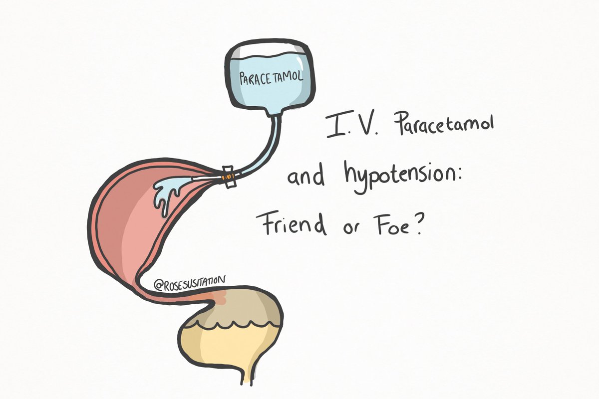 Paramedics, including me, often provide I.V. Paracetamol as an extra top-up of fluids when considering pain/pyrexia management in a hypotensive patient. It makes sense right? There's a wee 100ml of fluids to help out.  No brainer right?
Wrong. 🧵1/8