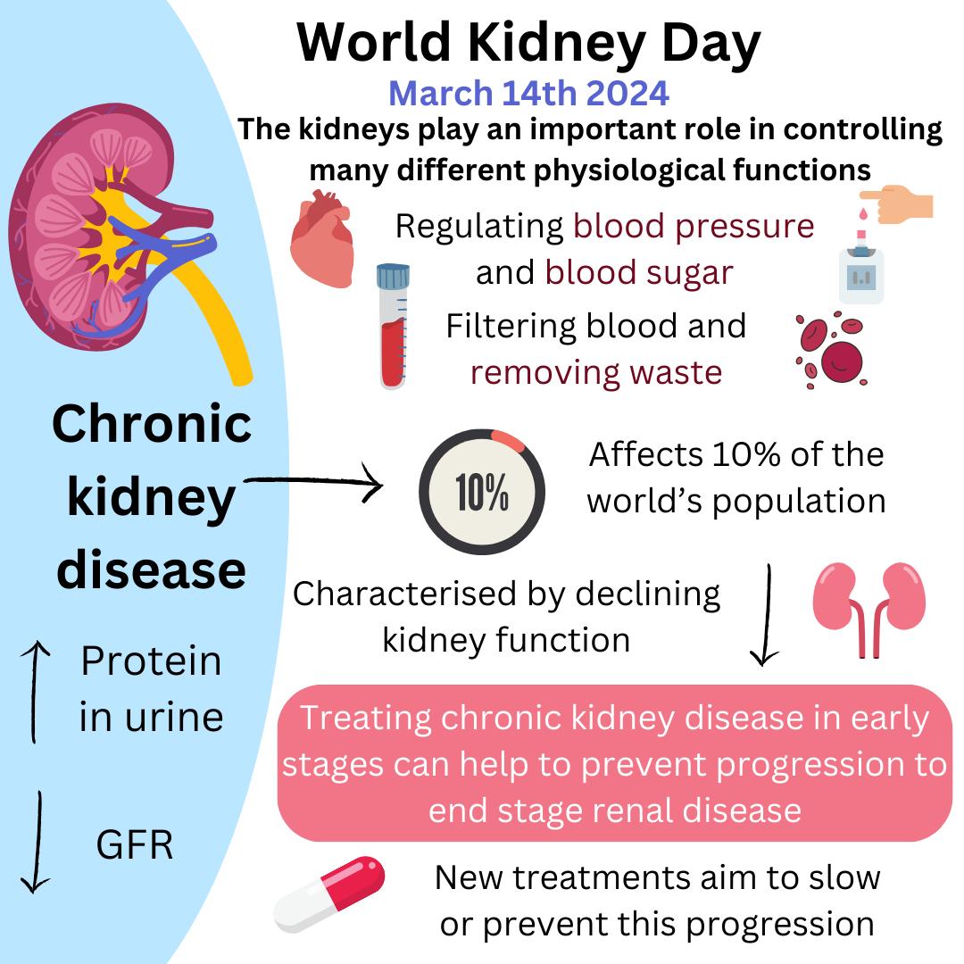 Tomorrow is #worldkidneyday2024. Stay tuned to hear all about #kidneydisease & the all important research that we are doing @UoLCoHS to combat a condition estimated to affect 850 million people globally. Want to know more.. @jo_ward08 made this fabulous infographic 👇 #kidneyday
