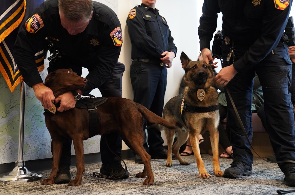 CAL FIRE - Office of the State Fire Marshal tweet media