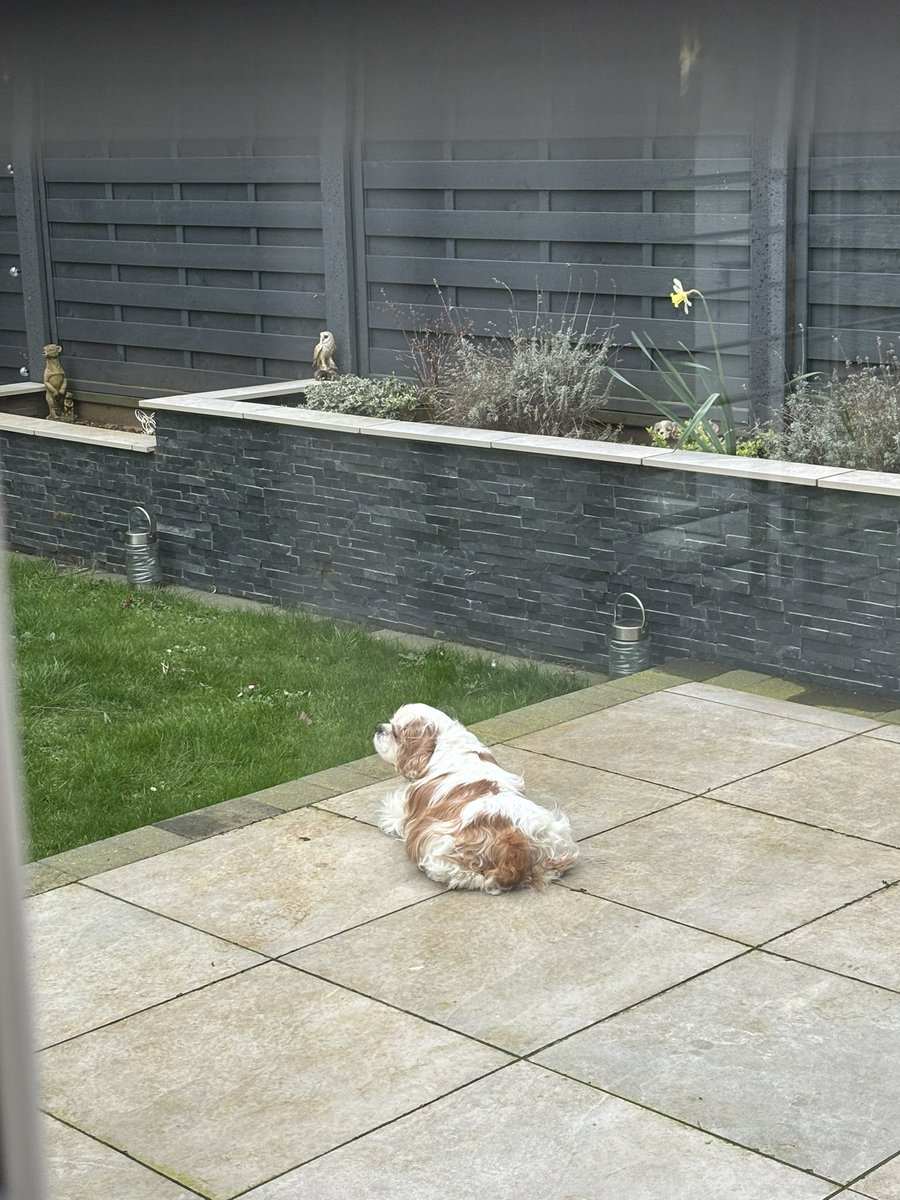 harveybones's tweet image. This is me currently. Doing some #finking on my besties behalf 🥰