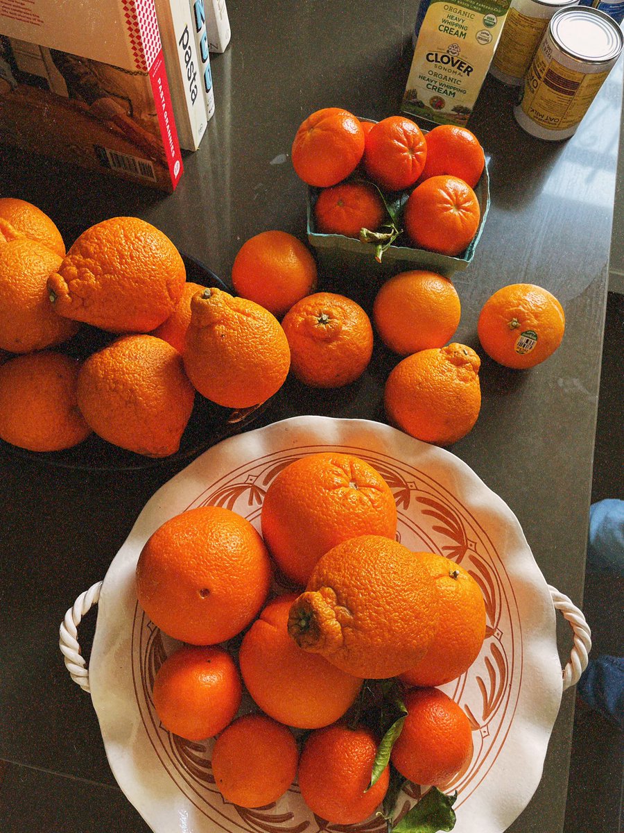 If you haven't tasted the winter citrus in #California

🍊
open.spotify.com/playlist/1L3G3…