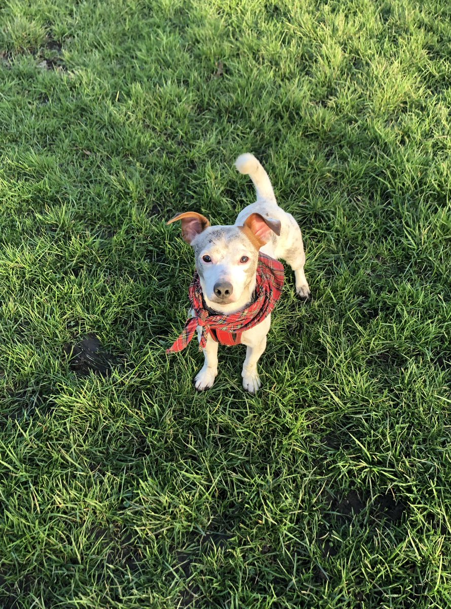 Muddy walk