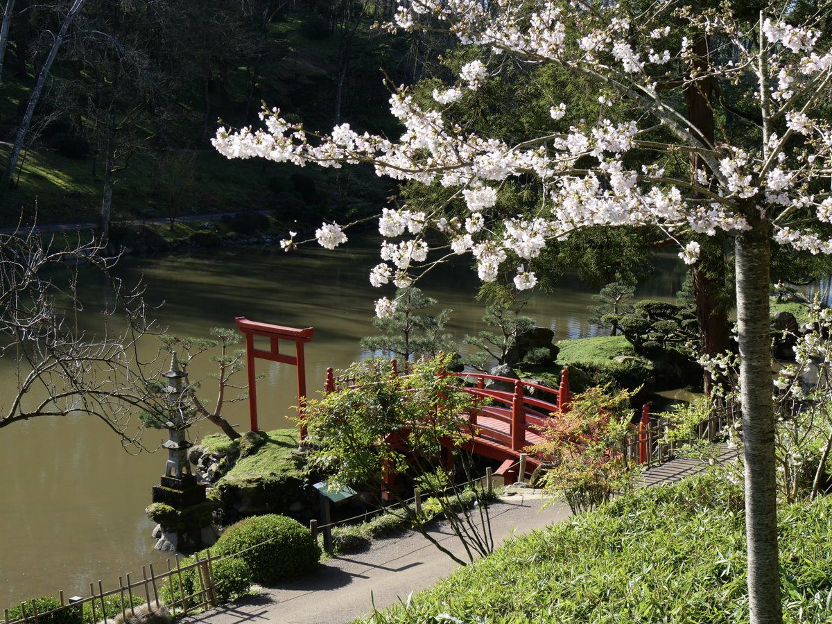Parc Oriental tweet media