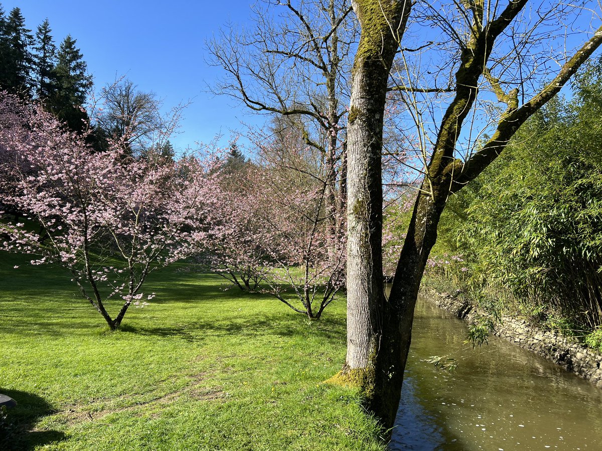 Parc Oriental tweet media