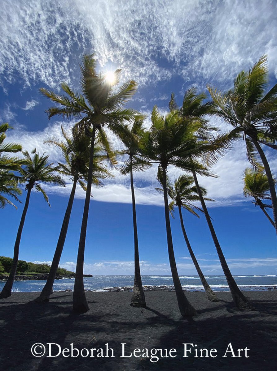 Tall palms on black sand #photographyisart #beachphotography #beachlife #ayearforart #buyintoart #wallart #homedecor #coastalart #beachvibes #goodvibes #hawaiiphotography #photographylovers #oceanscape #seascape #ArtistOnTwitter #fillyourwallswithart
ART - deborah-league.pixels.com/featured/tall-…