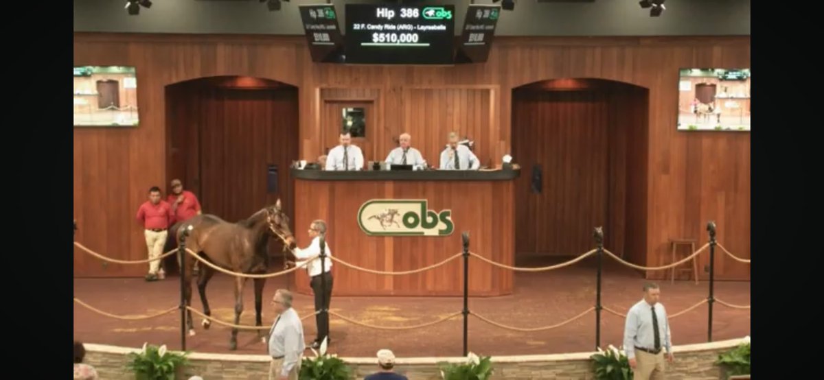 Layreebelle has been an incredible producer. Her 2yo filly is the real deal sold @OBSSales with @Valery90310081 de Meric for $510k #MachmerHallBred