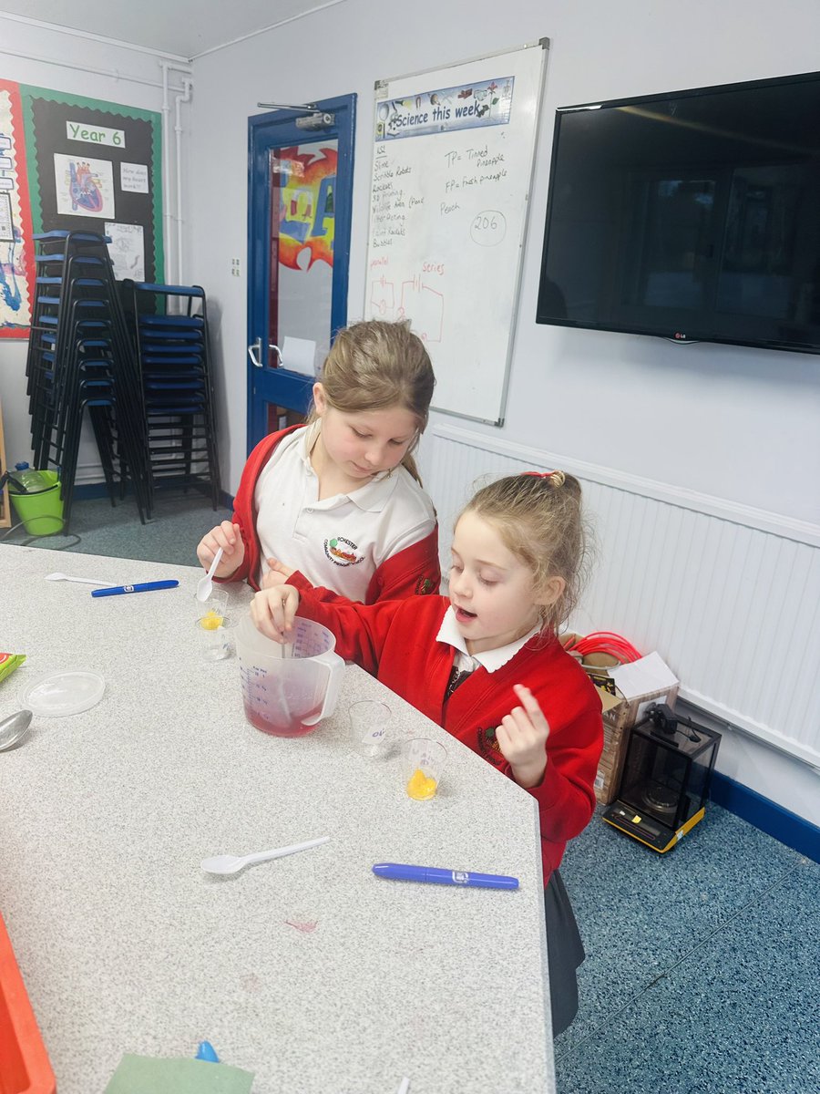 Today we set up a ‘fair test’ in the lab with Year 3 - investigating the question ‘Will adding fruit to our jelly make it take longer to set?’ - watch this space for our results! @ScienceWeekUK