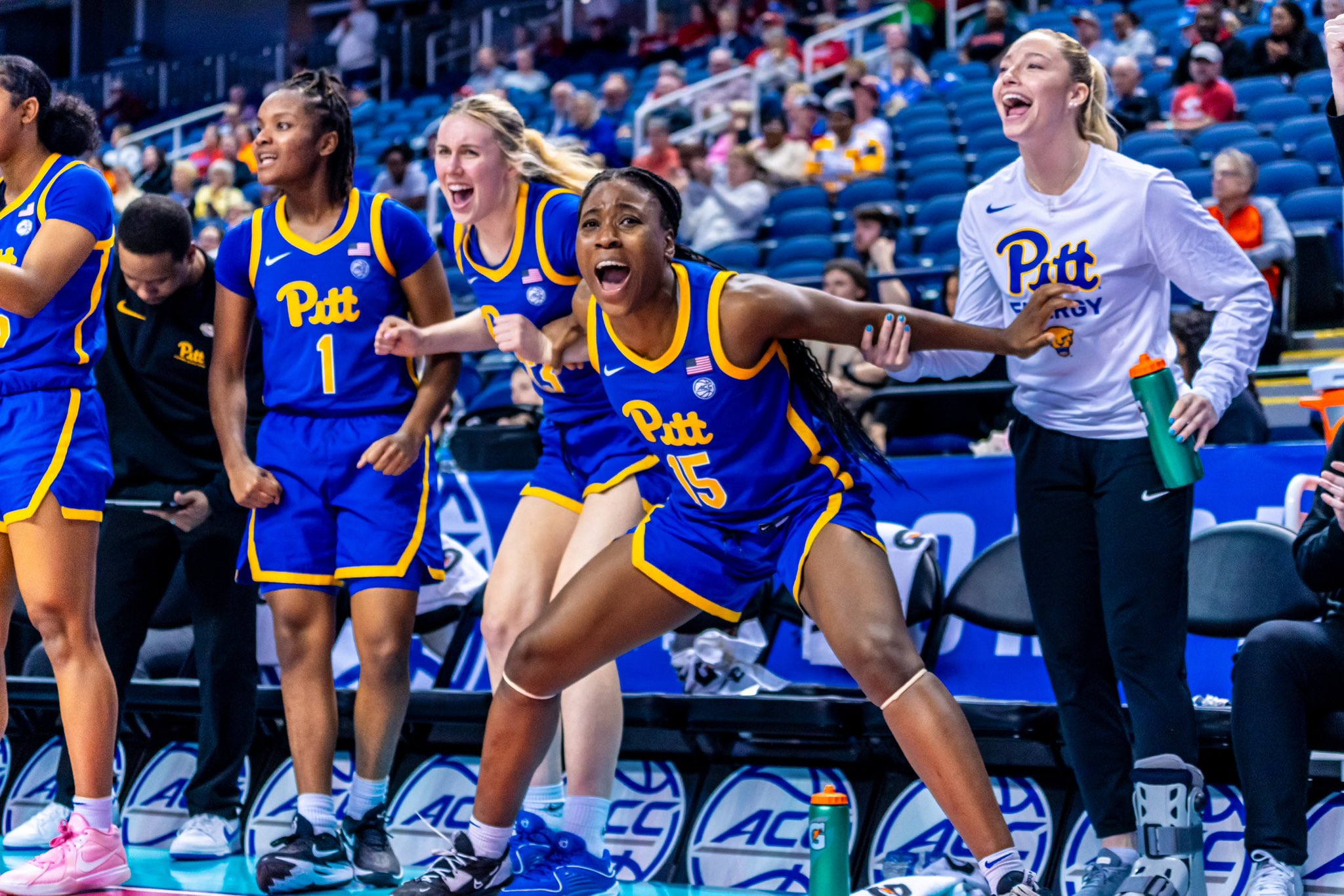 Pitt clearance women's basketball