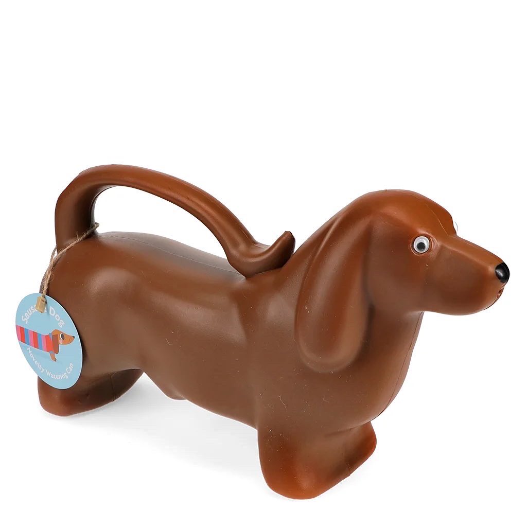 Just arrived! This cute #sausagedog watering can would make a great gift for #dachshund lovers everywhere. £9.95. Click link below to get yours: devotedtodachshunds.co.uk/product/sausag…