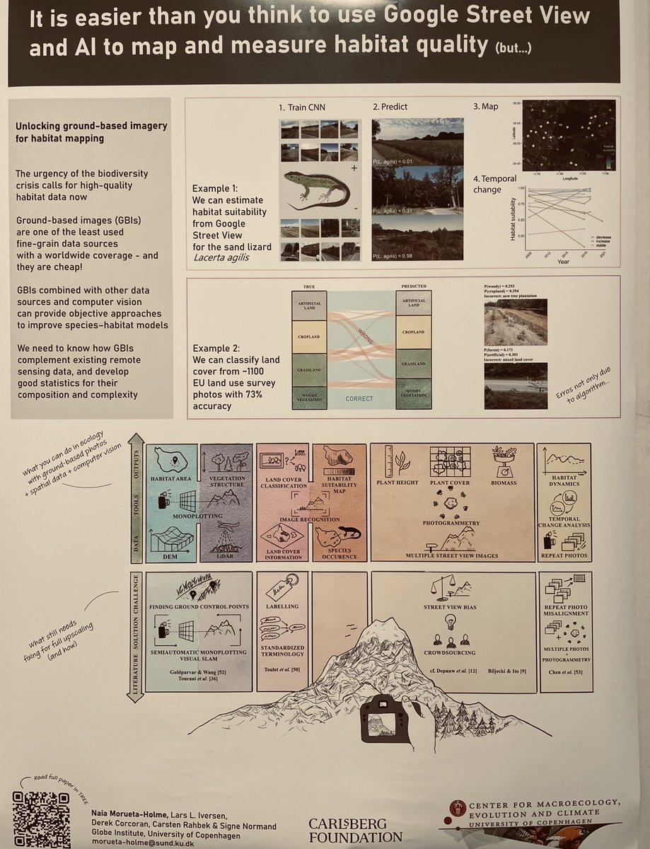 A new and interesting approach to mapping habitat quality using Google Street View images and AI! 🦎🌳 🔍 #NordicOikos2024 #biodiversity #research #AI