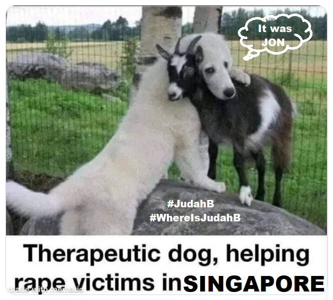lisahsmithlhs's tweet photo. @jontester First of all .. How many times have you burdened them for poor choices? 🤔👨🏼‍⚕️🤦🏼‍♂️
How many times this year?
#TesterPoopyPants
#AnxietyAttacks 
Does Sharla know what you did in Singapore? #WhereIsSharla #SaveOurGoats 
#WhereIsJudahB #JudahB 
#PedosBelongBehindBars 
#MTpol https://t.co/HKsy9qjRE0