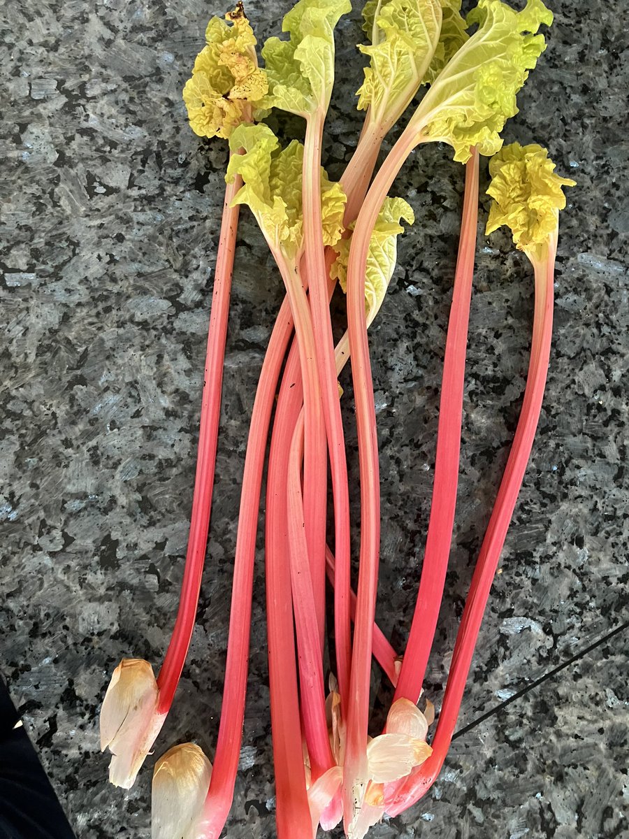 Danielle Ellis - Severn Bites Breadmaking Classes tweet media
