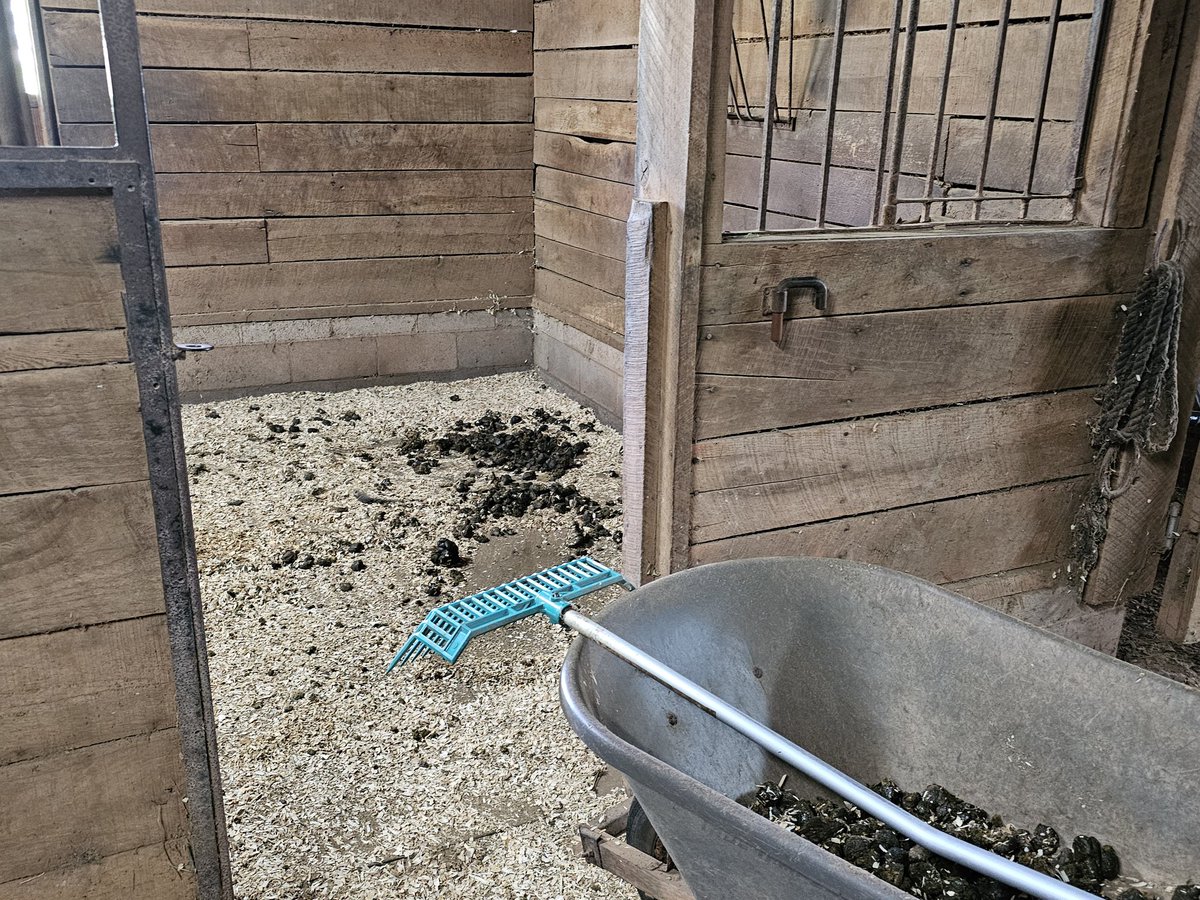 Hardwork builds character and I only like spending my time with a cast of good characters.... so I guess this life of growing up doing this taught me some things after all