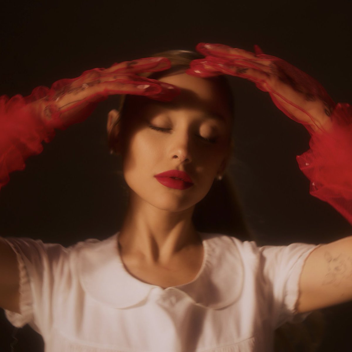 javiercybr's tweet image. 🍃 #inrotation