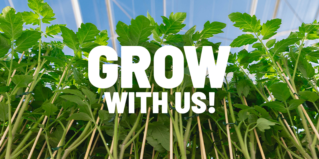 As a family-operated organization, we #value the talents and abilities that each person brings to the Pure Flavor® team. 

From #Finance to #IT to #Operations to #Marketing to #Growing, we have a wide variety of postings right now: bit.ly/3lblsjJ