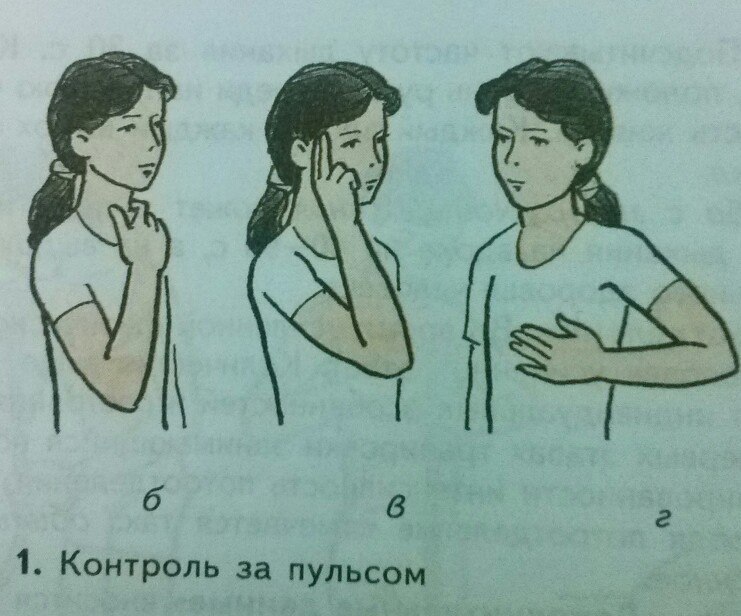 svoroval's tweet photo. Мой дурачина (кошак), когда я ложусь спать и уже в дрёме приятной, врезается бошкой в мою дверь🤦🏼‍♀️
Каждый раз, как первый, пердечный сриступ https://t.co/W23OLBlSsU