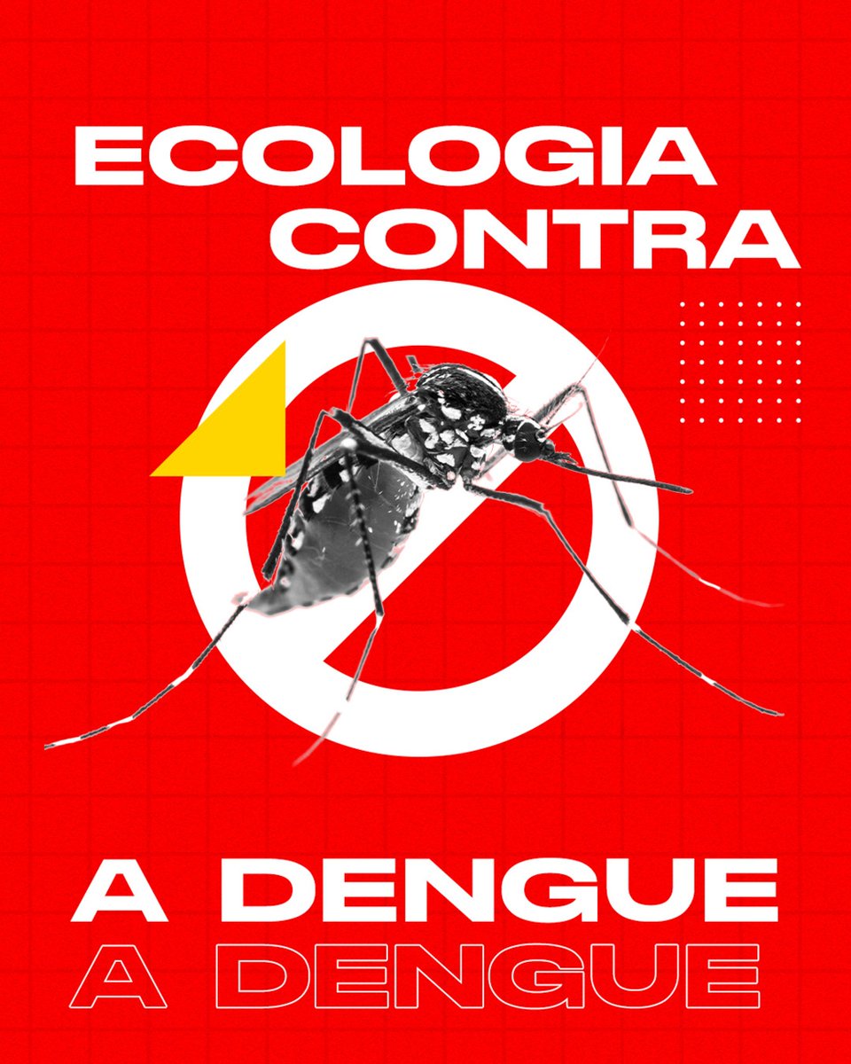midregional's tweet image. #Dengue? Aqui não! 🦟🚫

🐟 Através da @codevasf, inserimos uma espécie nativa do Velho Chico em reservatórios para combater o #mosquito: a piaba-do-rabo-amarelo.

O peixe realiza um controle biológico das larvas do #Aedes aegypti, garantindo saúde e segurança hídrica!