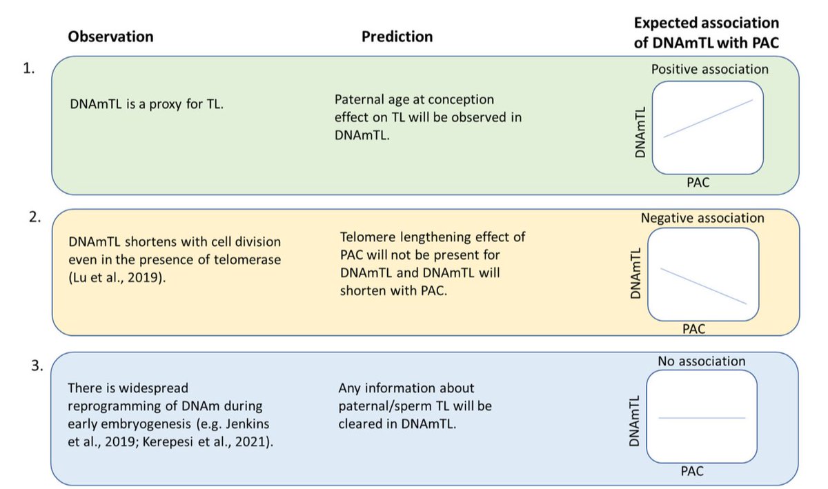 📢New Recommended Reading📖from Chris Kuzawa's (@ChrisKuzawa) Lab 
DNA methylation-based estimators of telomere length show low correspondence with paternal age at conception and other measures of external validity of telomere length by Dan T. A. Eisenberg et al.