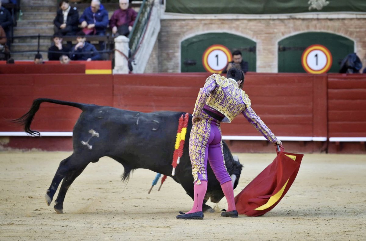 Plaza de Toros de Valencia tweet media