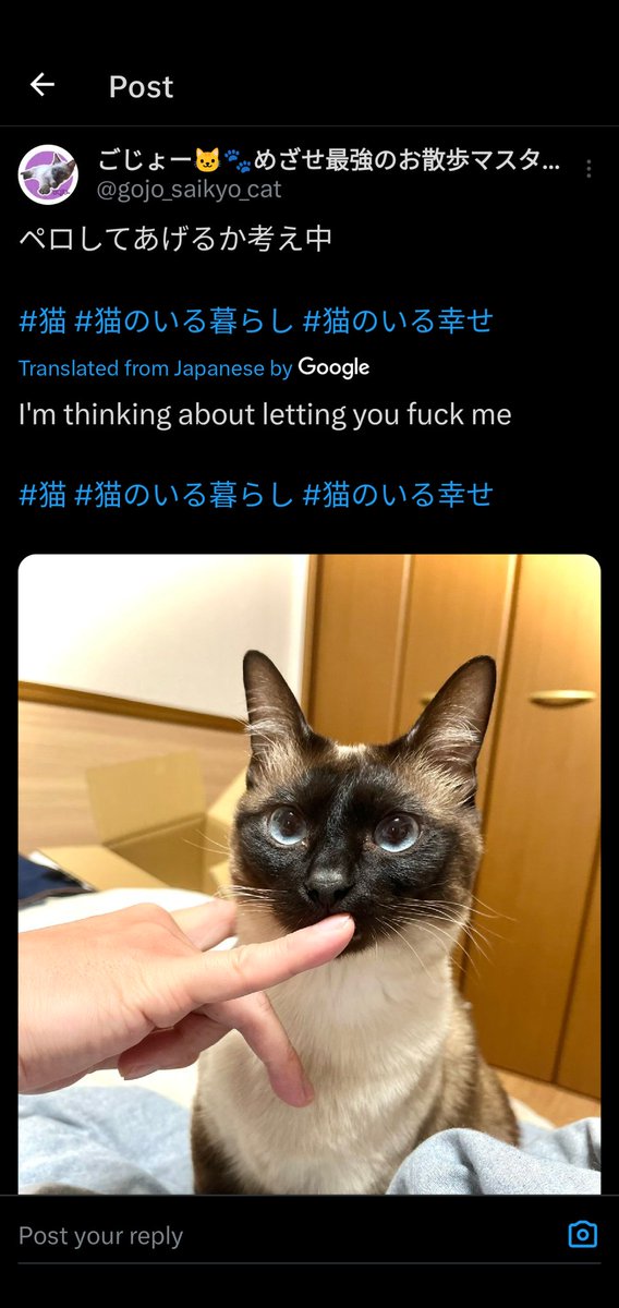 AverageAsianJo's tweet photo. @gojo_saikyo_cat I'm crying. Hope this don't offends you in anyway. https://t.co/sxSMWMciHg