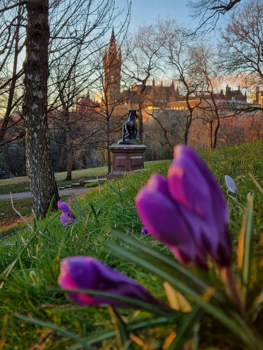 Lovely sunset tonight, Glasgow University from Kelvingrove park on a similar spring night