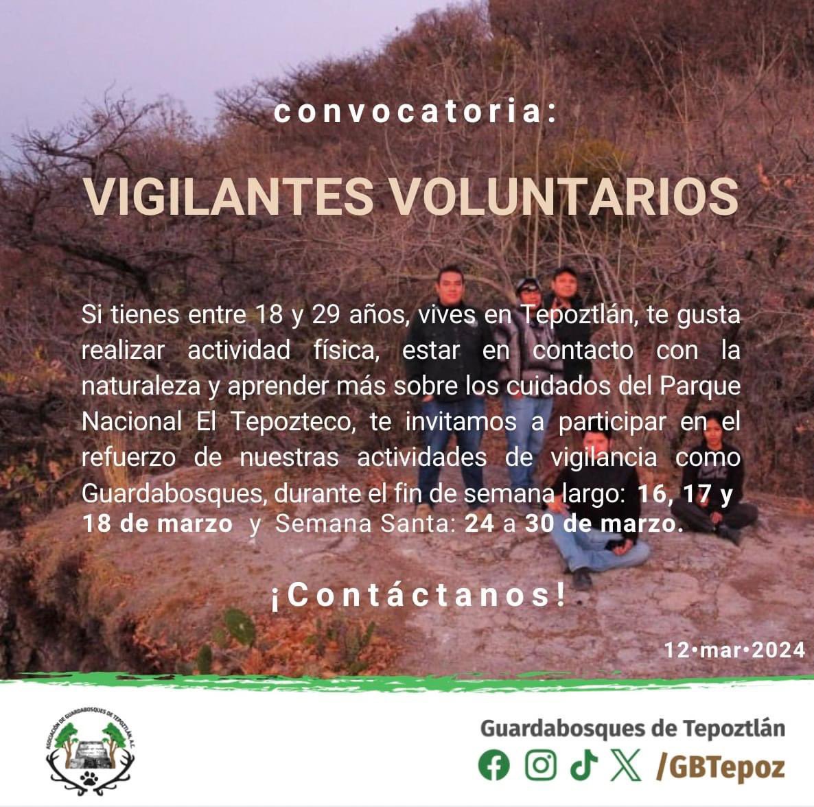 Frente Juvenil en Defensa de Tepoztlán tweet media