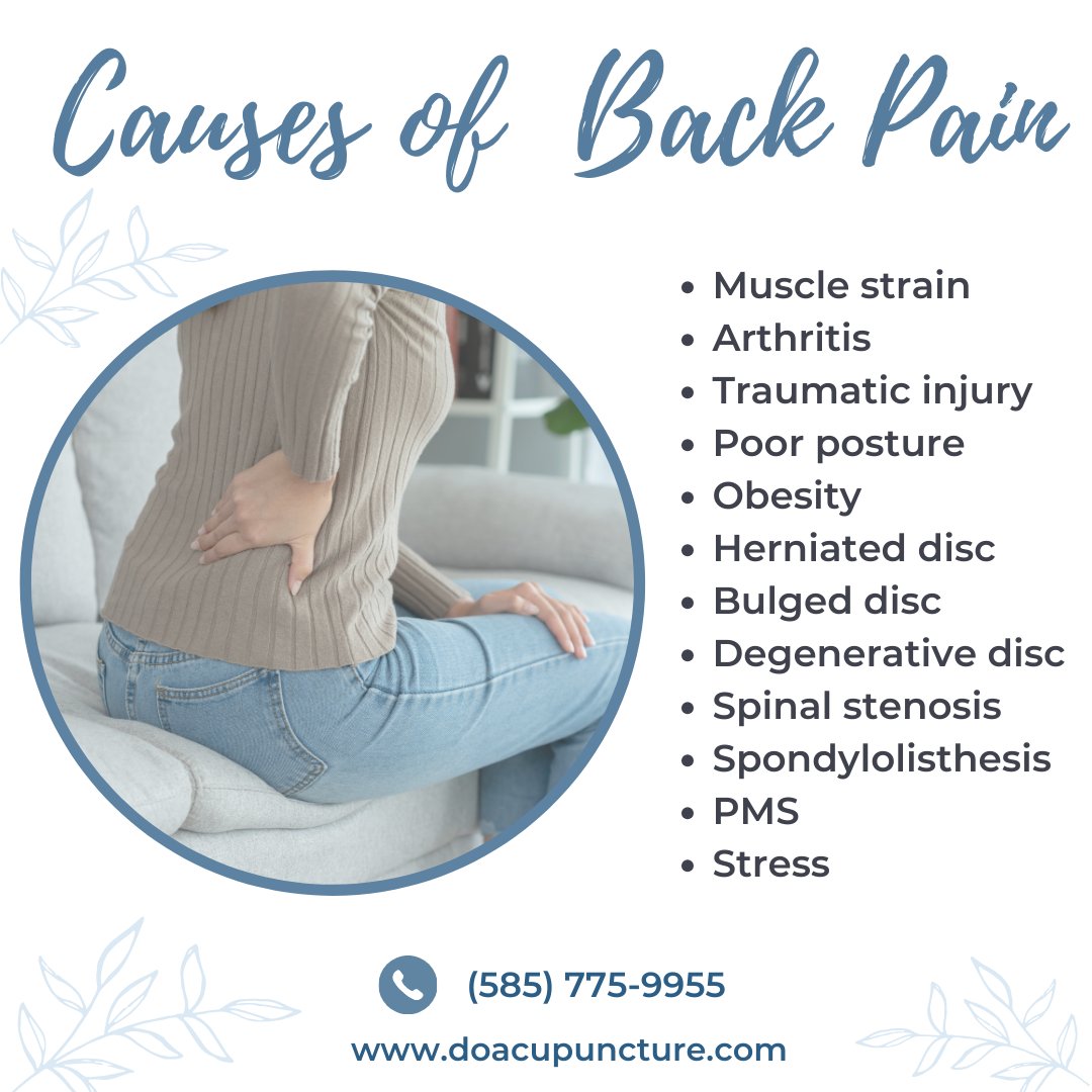Some of the most common causes of #lowbackpain are muscle strain, arthritis, traumatic injury, poor posture, disc issues, etc.

We have seen great results treating low back #pain with #acupuncture. Call our office to start getting relief.

#RochesterNY #Rochester #NY