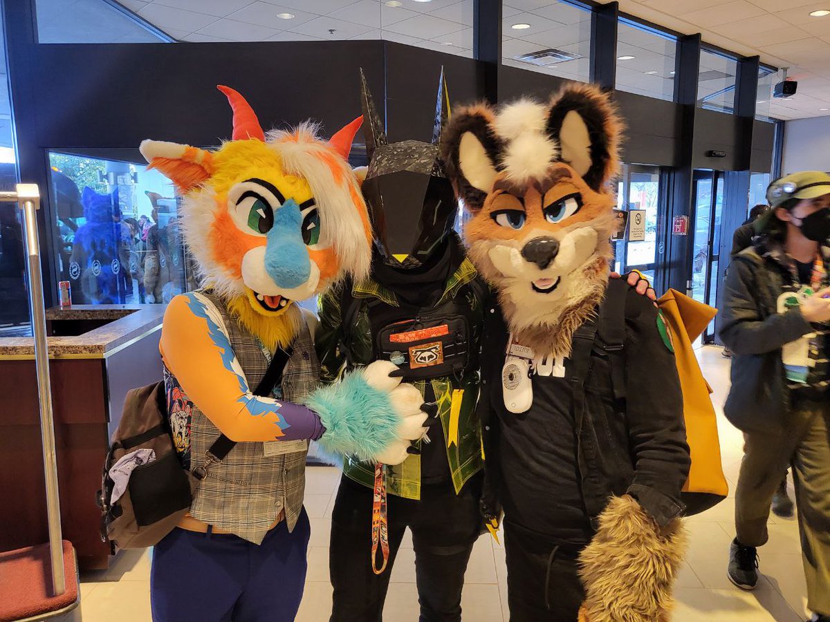 Cole Fox tweet media