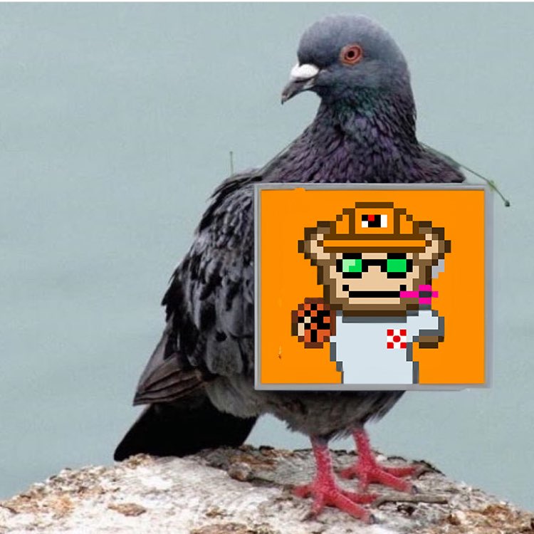 Kutzurupka degen🐦 tweet media