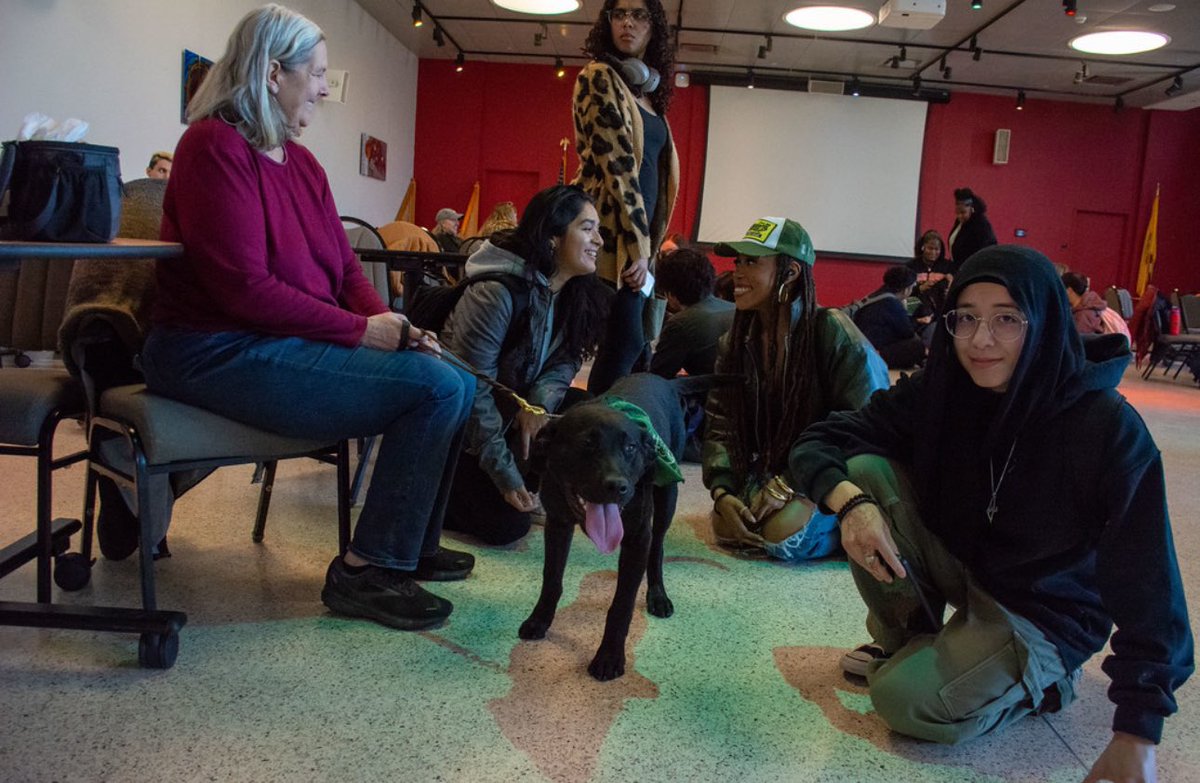 wpunj_edu's tweet image. Midterms 📚 midweek 🗓️ Oh look, puppies!! 🐾 #wpunj #destress #campus