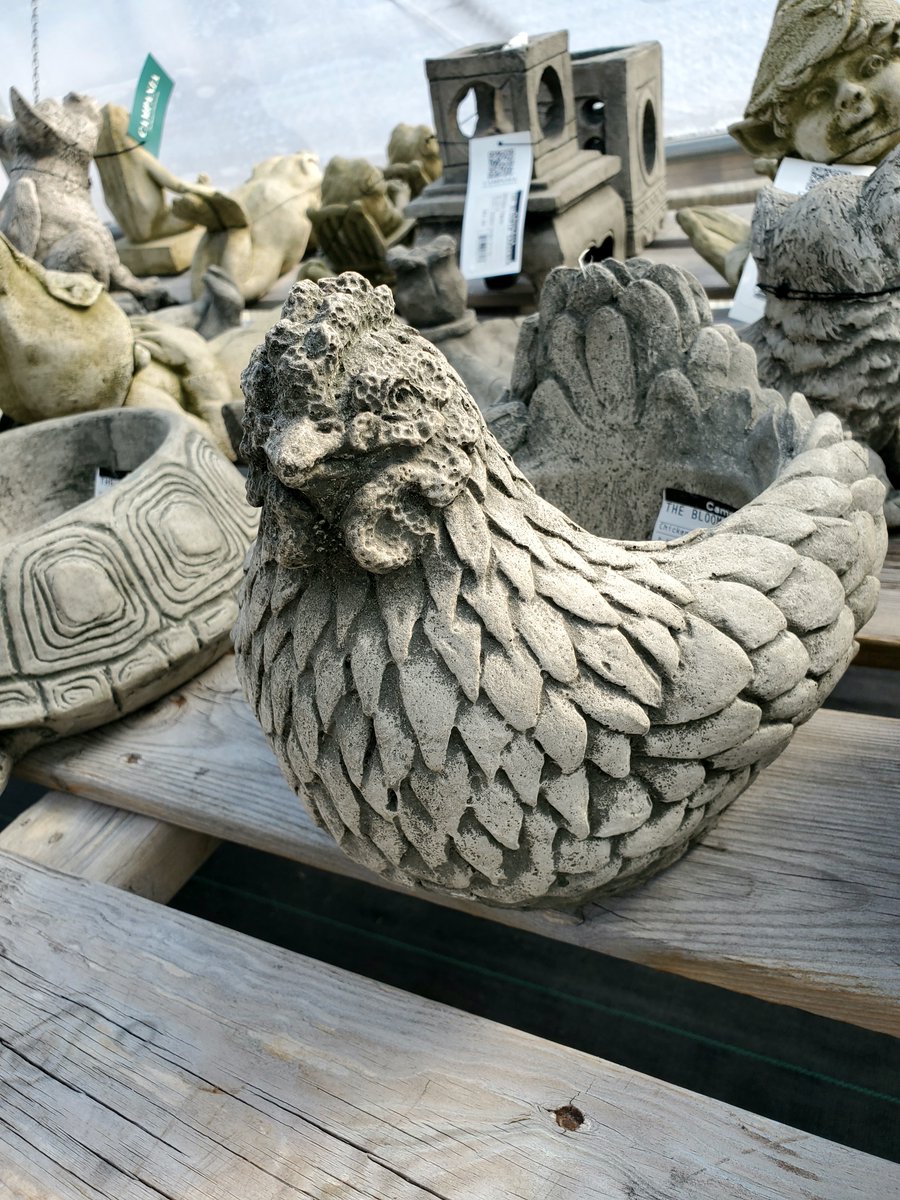 bloomingardener's tweet photo. We've started unpacking the statuary. We got in so many great pieces!!
#thebloomingardener #statuary #gardendecor #newitems #spring2024 #localgreenhouse #yqgbusiness #gardenaccessories #YQG #newarrivals #Campania https://t.co/lh7fb8mtwP