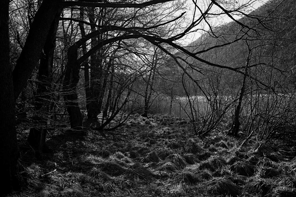 MarcoPetroi's tweet photo. Lago di Ganna - Valganna - February 2022
Copyright © Marco Petroi Photography
website: https://t.co/fpB1k1PDk6
.
.
.
.
.
#Valganna #lake #fineart #landscape #monochrome #dark #nature #outdoor https://t.co/PXt9KYX4er